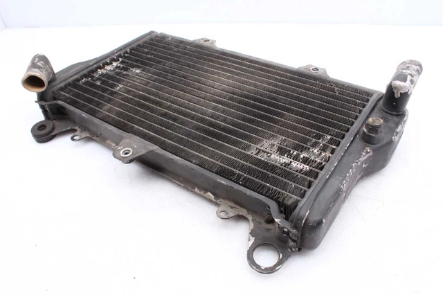 VENTILATEUR REFROIDISSEMENT MOTEUR de Radiateur pour Peugeot 406 8B