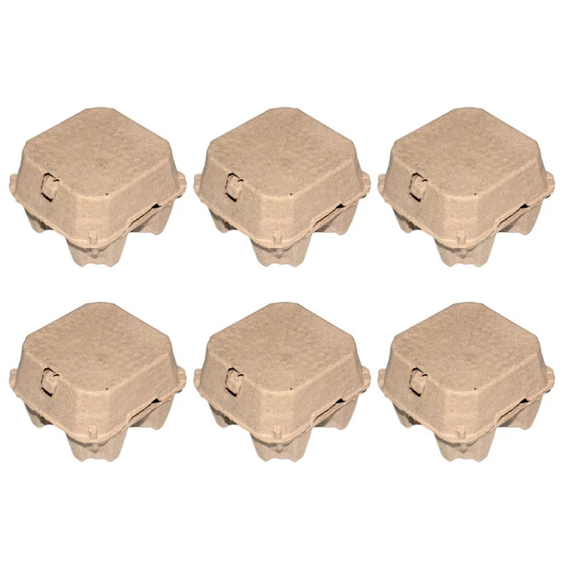 Camping En Plein Air Portable Quatre Compartiments Carton à Oeufs En