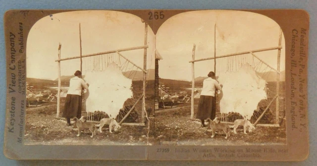 Northwest Coast Native Woman Tanning Moose Hide Keystone Steroview 265 Stero