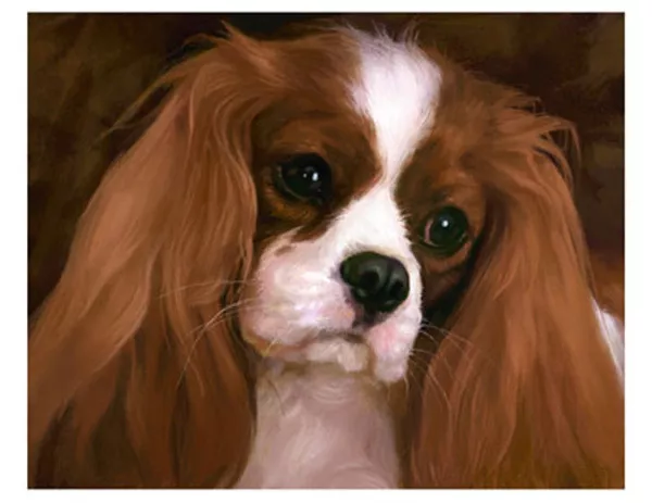 artav Cavalier King Charles Spaniel 22 Dog Art Print