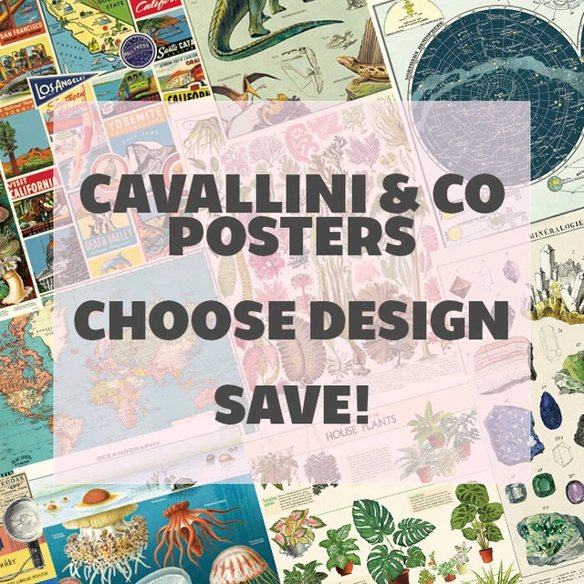 POSTER WALL DECOR Maps Vintage Charts Bees Camera Leaves 50cm x 70cm