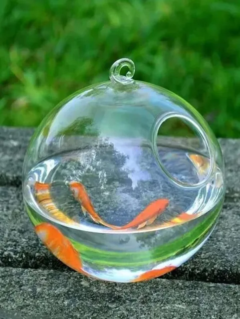 Desk Glass Hanging Fish Bowl Tank with Stand Fish Homes Small Table  3