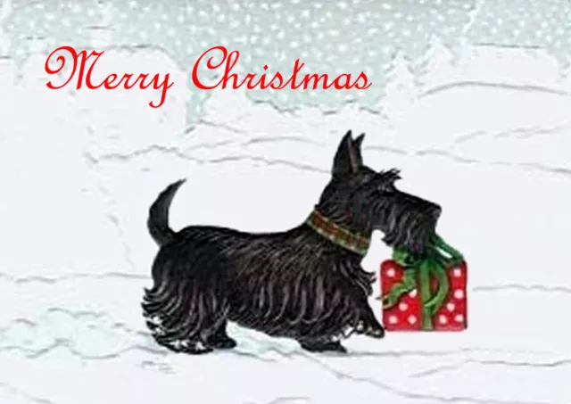 Scottish Terrier & Gift Scottie Dog Single Dog Print Greeting Christmas Card