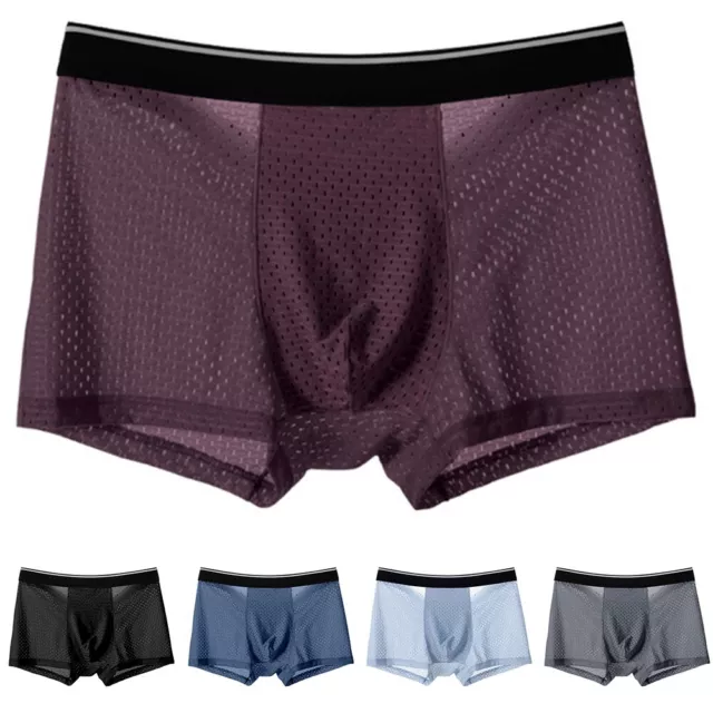 Hommes Ice-Silk sous-Vêtement Maille Sexy Respirant Pur Boxer Slips Culottes