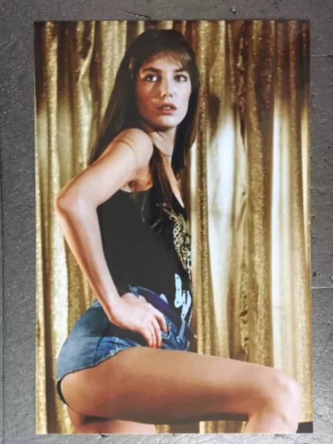 81° JANE BIRKIN ° STARFOTO 20x30...° SAMMLUNG °