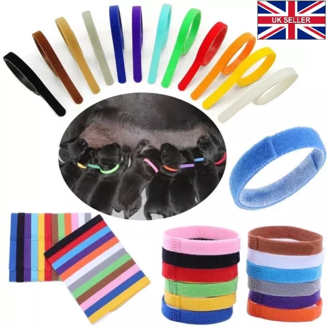 12 Newborn Whelping Id Bands Pet Puppy Kitten identification Adjustable collars