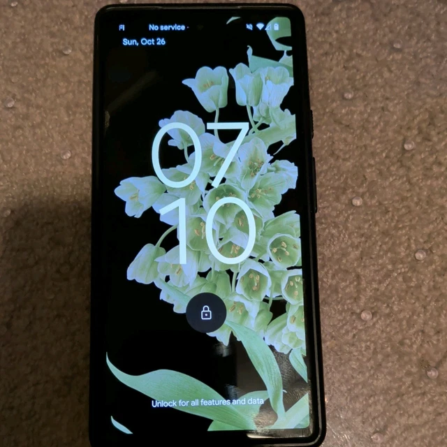 google pixel6 128GB SiMフリー Sorta Seafoam Amazon.com: Google