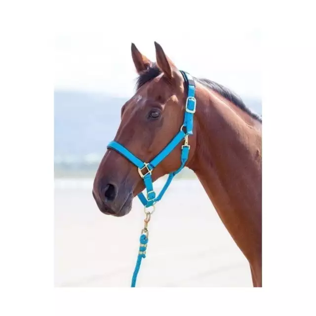 Shires Topaz Nylon Headcollar