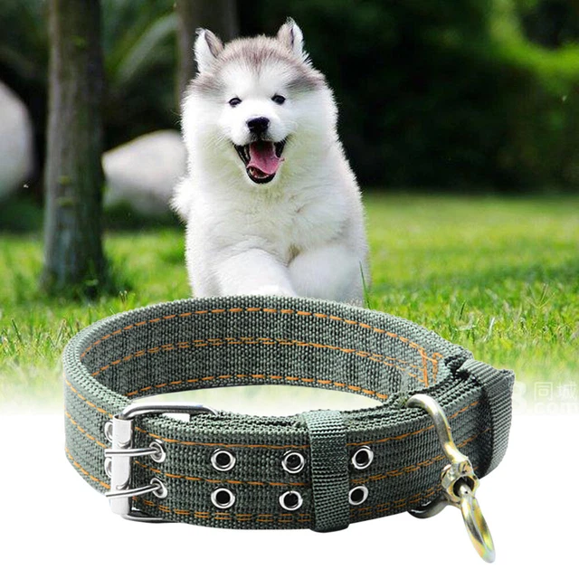Collana a doppio petto regolabile cane verde esercito collare cane per Siberian Husky