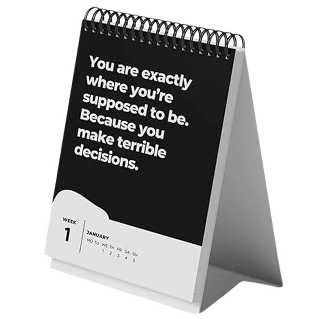 2025 PSEUDO INSPIRATIONAL Spoof Humorous Desktop Calendar Gift For