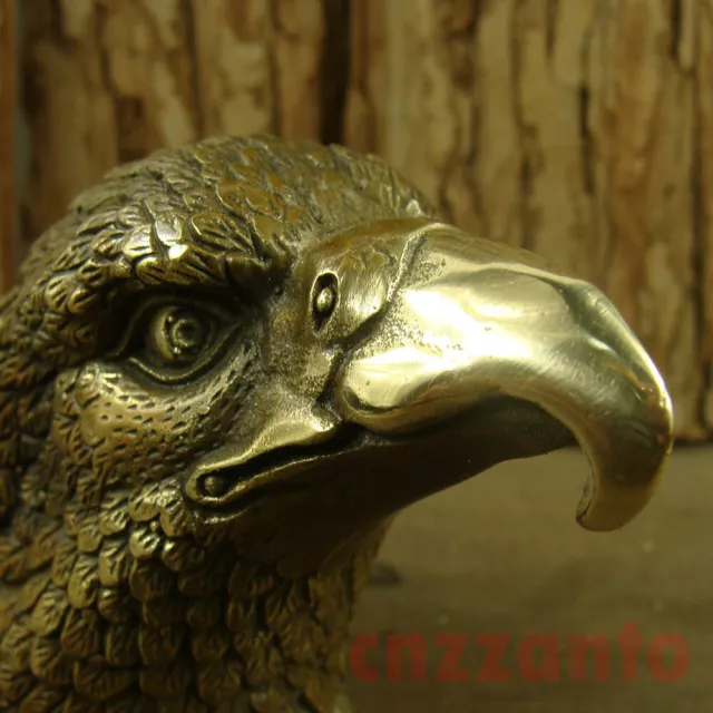 Solid Brass Cast " Eagle head " table Decoration figurine statue Z023