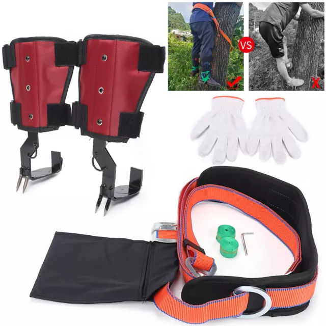 Tree Climbing Spike 2 Gears Set Safety Rope Rescue Belt w/ Carabiner Load 145Kg