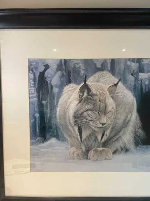 LYNX at rest by iconic artist ROBERT BATEMAN large frame looks great at cottage 2