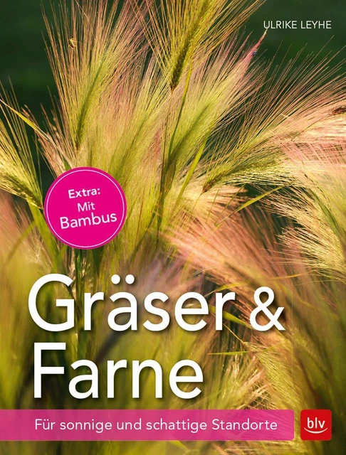GRÄSER UND FARNE Ulrike Leyhe Für sonnige und schattige Standorte