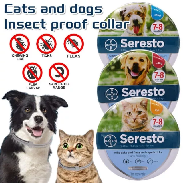 Collar Antiparasitario Antipulgas Y Garrapatas Gatos Perro Protección de 8 Meses