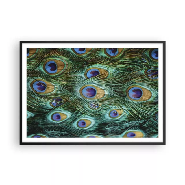 Cuadro Poster de Pared 100x70cm P�ster Marco Pavos Reales Pluma Macro Wall Art