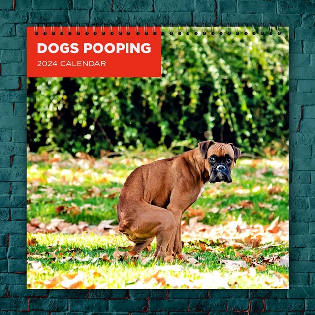 DOGS POOPING CALENDAR 2024, Dog Wall Calendar 2024, Funny Calendar 2024