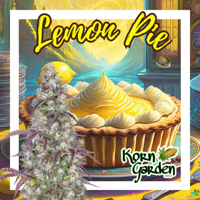 LEMON PIE - AUTO, Semi da collezione 2 pcs