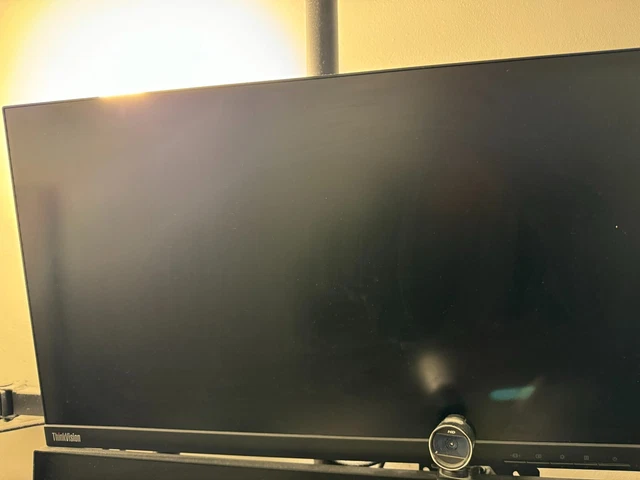 Lenovo ThinkVision T24m-10 24" FHD IPS LED Monitor