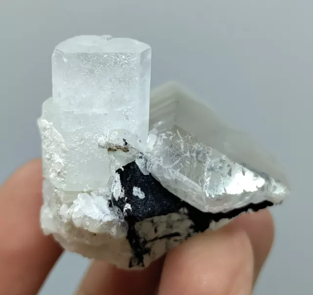 38 GM Full Terminated Aquamarine Crystals On Quartz From Kunar Afghanistan