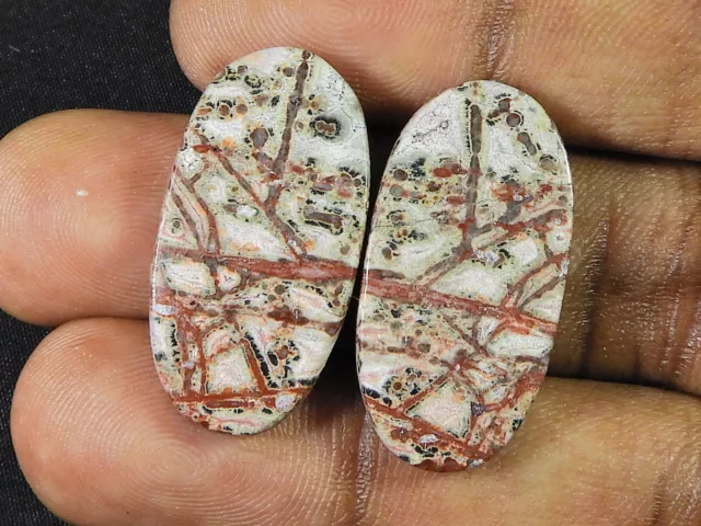 27Cts. Natural Leopard Skin Jasper Matched Pair Handmade Gemstone 14X28X03MM d32 2