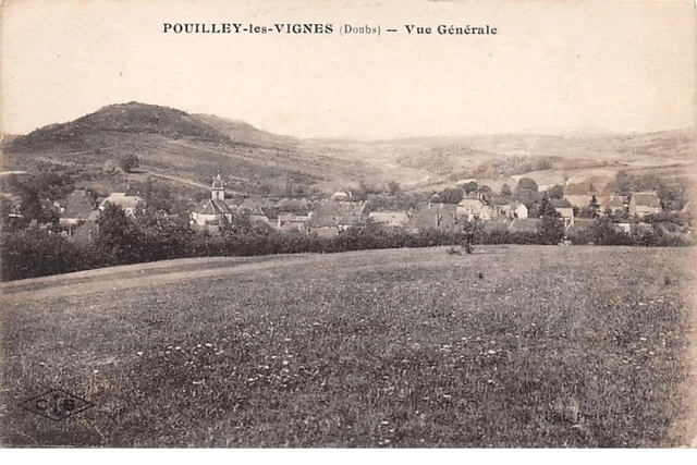 25 . n°105919 . pouilley les vignes .vue generale .