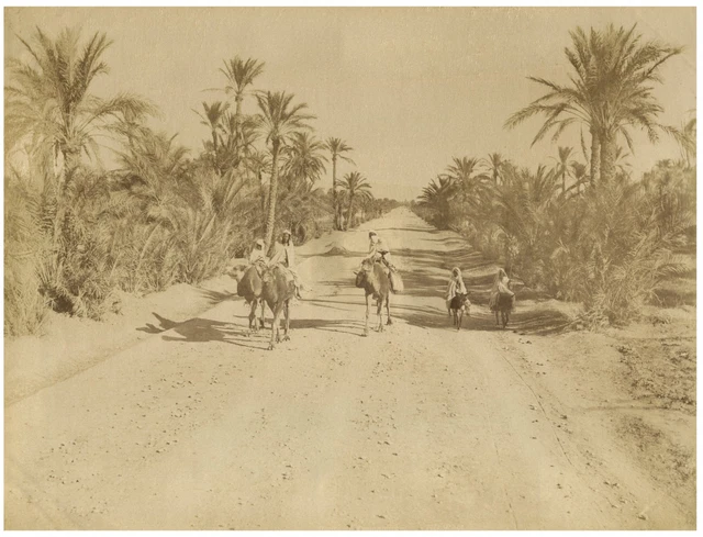 Tirage Albuminé Vintage Algérie, Environs De Biskra, Oasis - Circa 1880, Format 21x27 Cm, Original