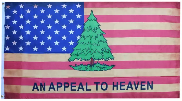 USA Vintage An Appeal To Heaven WASHINGTON CRUISERS 100D 3x5 3'x5' Flag Banner