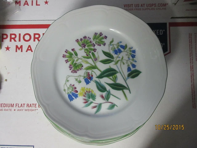 bareuther waldsassen bavaria germany wild flowers pattern #132 set of 6 dishes