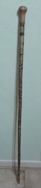 01 Handcrafted Country Traditional Design Walking Stick   With Knob Handle