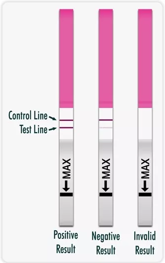 30 x OVULATION (LH) TESTS URINE STRIPS Fertility Tests  FREE tracking POSTAGE 3