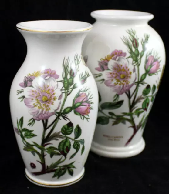 Portmeirion Jardin Botanique Groupe De 2 Vases 25th Anniversaire Et Chien Rose