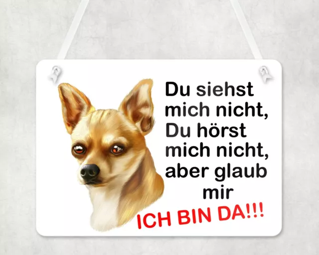 Warnschild Türschild Eingangsschild Wetterfest Chihuahua Hund Hundebesitzer