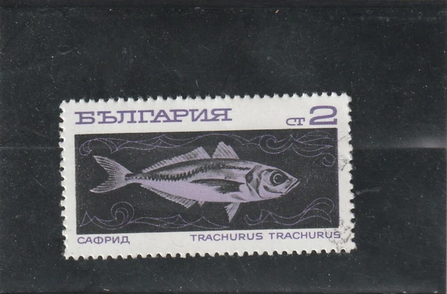 L5829 BULGARIE Timbre N° Y&T 1734 de 1969 " Trachurus Trachurus " Oblitéré