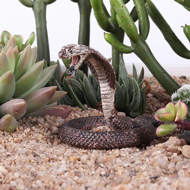 2 Pcs Serpent D'halloween Jouet Serpent Réaliste Jouets De Reptiles Ramper