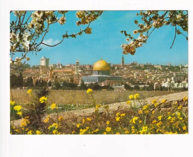 uralte AK Israel, Jerusalem Altstadt Blick vom Olivenberg //10