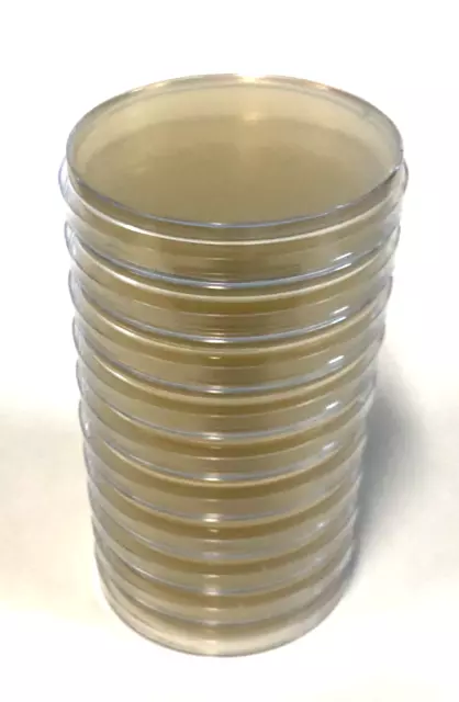 12x Pre-poured MEYA (Malt Extract Yeast Agar)  Agar Petri Dishes in 90mm Plates