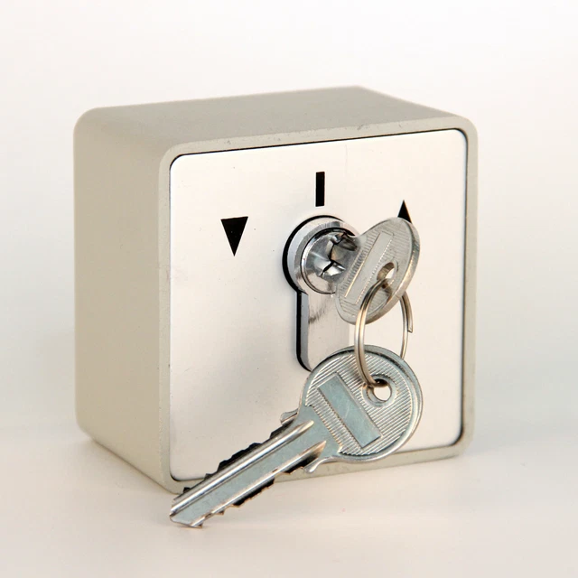 2 Selettori A Chiave Per Automazione Cancello E Serranda Garage - Compatibili Con DFM