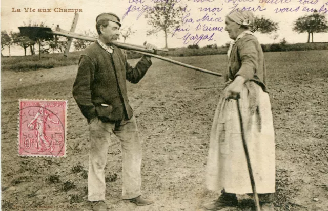 Agriculture Vie paysanne LOT de 2 cartes Aux champs et élevage de moutons