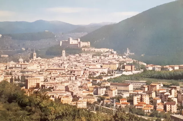 Cartolina - Spoleto - Panorama - 1960 ca.