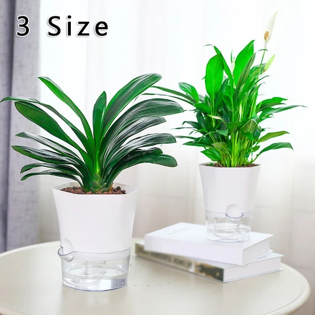 Vaso Autoirrigante Da Parete M5 – Fioriera Verticale In Resina Per Casa E Giardino – Design Moderno - 2
