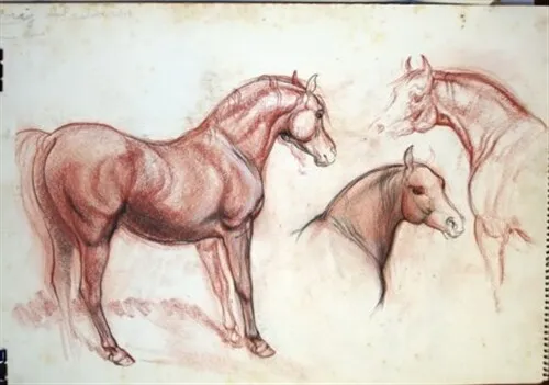#1 Maureen Love Original Sketch Beautiful Multiple Horse Views