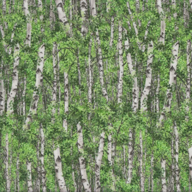 NEW Birch Trees with Green Leaves Landscape Quilting Fabric 1/2 Metre