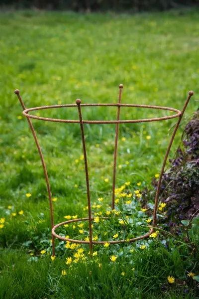 Staudenhalter Rostig h: 60cm - Lieferung im Stück Strauchhalter Rankgerüst, Rost