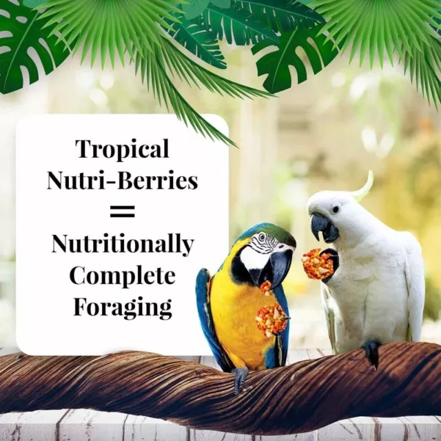 Tropical Fruit Nutri-Berries for Macaws & Cockatoos Parrot Food, Parrot Treat 3