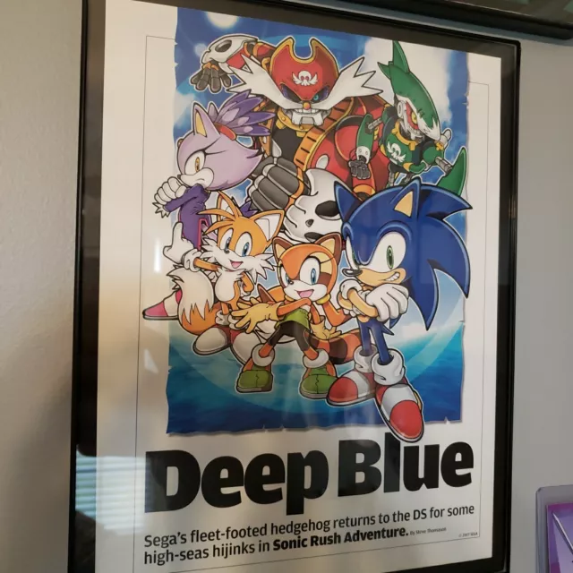 FRAMED 2007 Sonic the Hedgehog Rush Adventure DS Video Game Wall Art