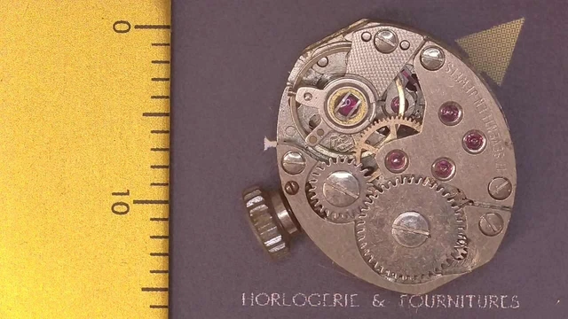 Huile Lubrifiante Pour Montres Mécaniques – Flacon 100 Ml – Protection Contre Humidité Et Poussière – Pour Entretien Et Réparation