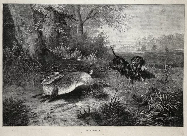Dog Dachshund Teckel Dackel, Hunting Pursuing Rabbit Hare, 1880s Antique Print