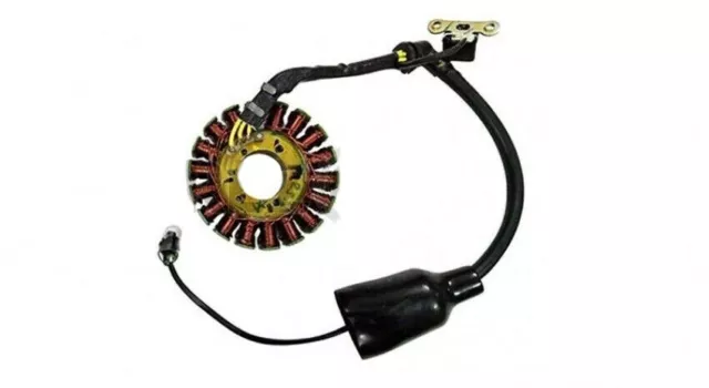 Original Stator Montage Fit Für Royal Enfield Himalaya Efi BS4 Motorräder