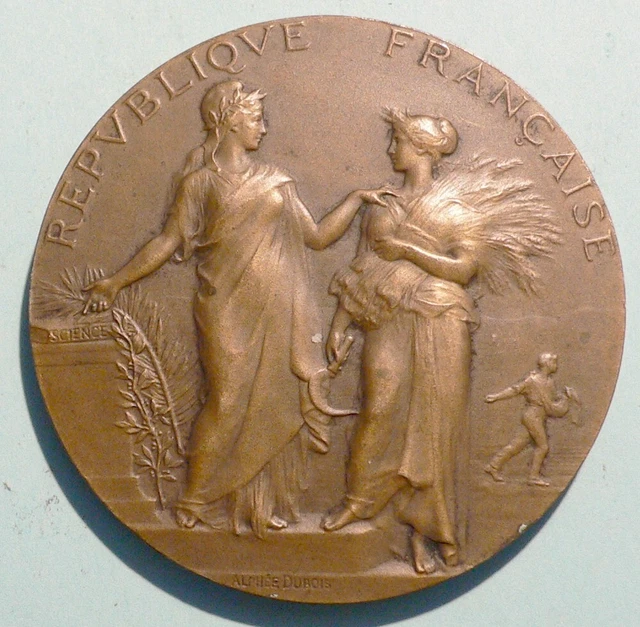 Belle Médaille En Bronze 50 Mm - Agriculture XIXe Siècle Par Alphée Dubois
